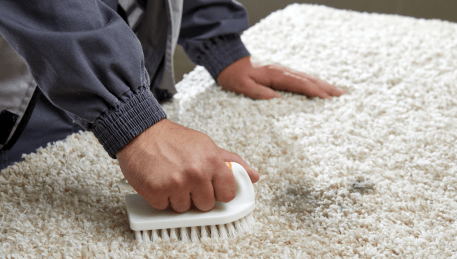 Professional Rug Cleaning Newport